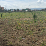 Land for sale at Barnabas in Nakuru County