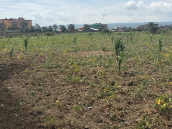 Land for sale at Barnabas in Nakuru County