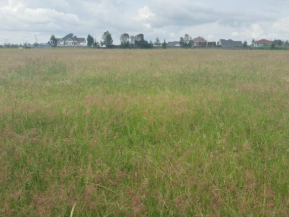 Prime 7 Acre Land for Sale in Nakuru County - Ngata Area