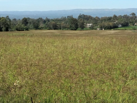 Prime 12 Acre Land for sale at Ngata in Nakuru County