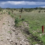 Plots for sale in Kitengela Enkasiti