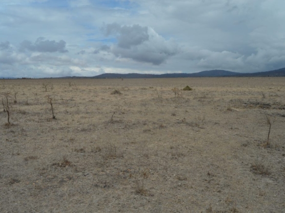 Land for Sale in Konza
