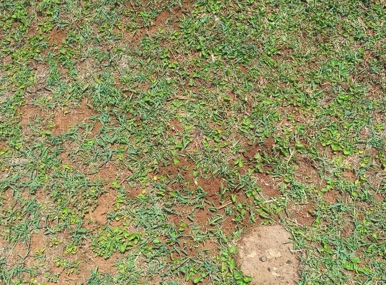 Prime Land/Plot For Sale In Eldoret Royalton