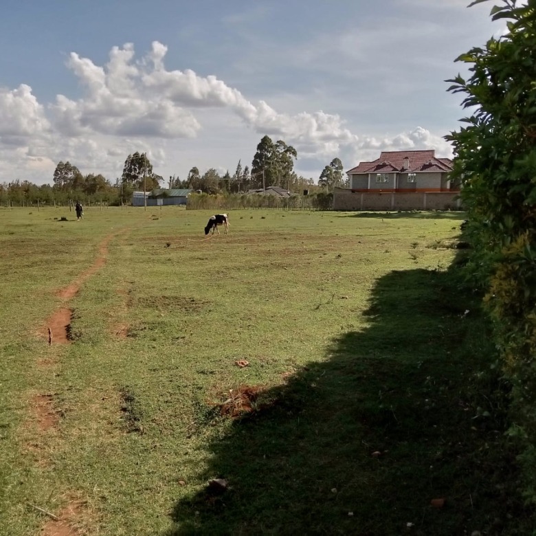 Prime Land/Plot For Sale In Eldoret Royalton