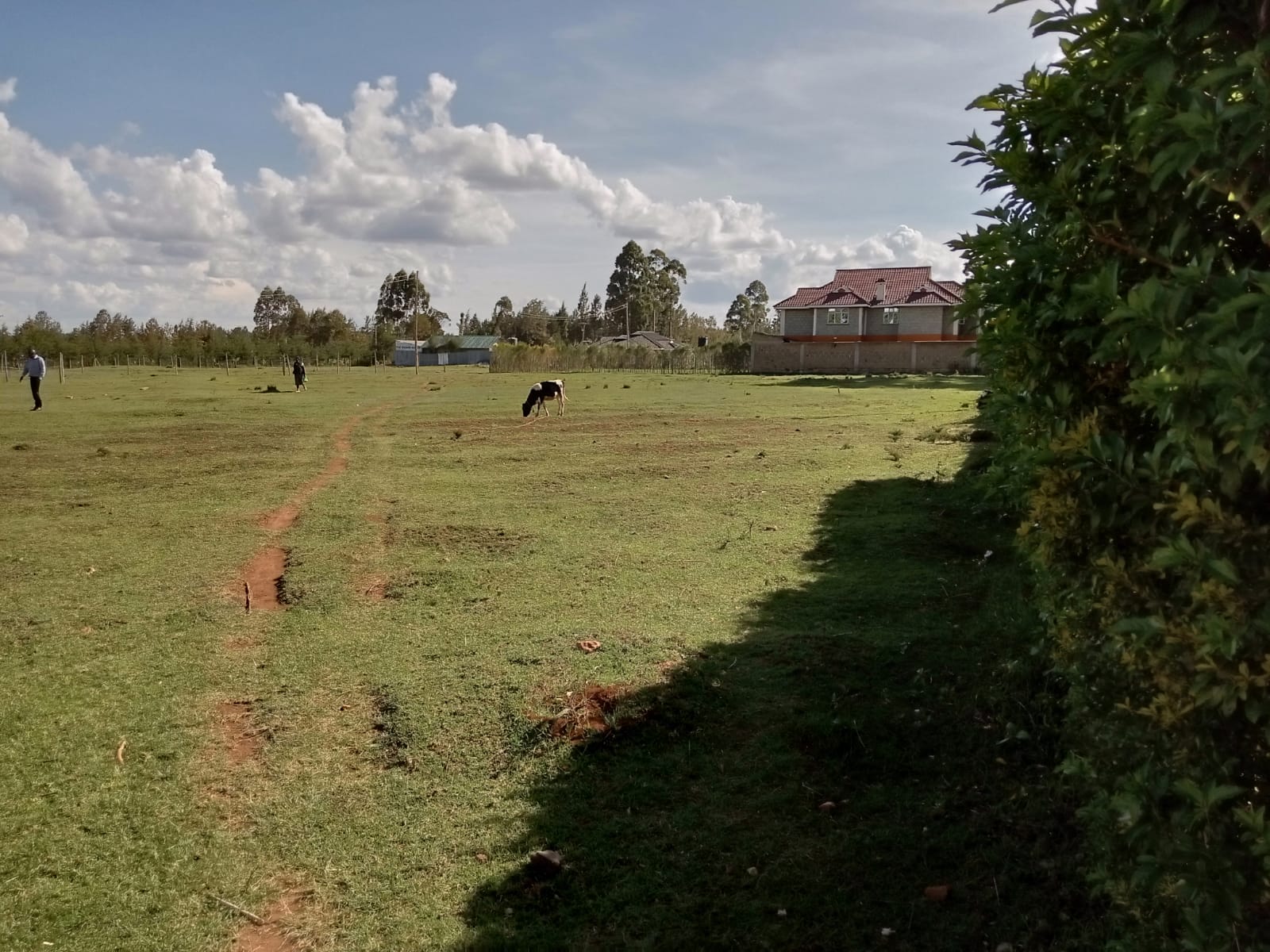 Prime Land/Plot For Sale In Eldoret Royalton