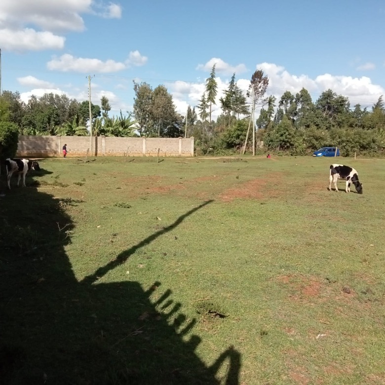 Prime Land/Plot For Sale In Eldoret Royalton
