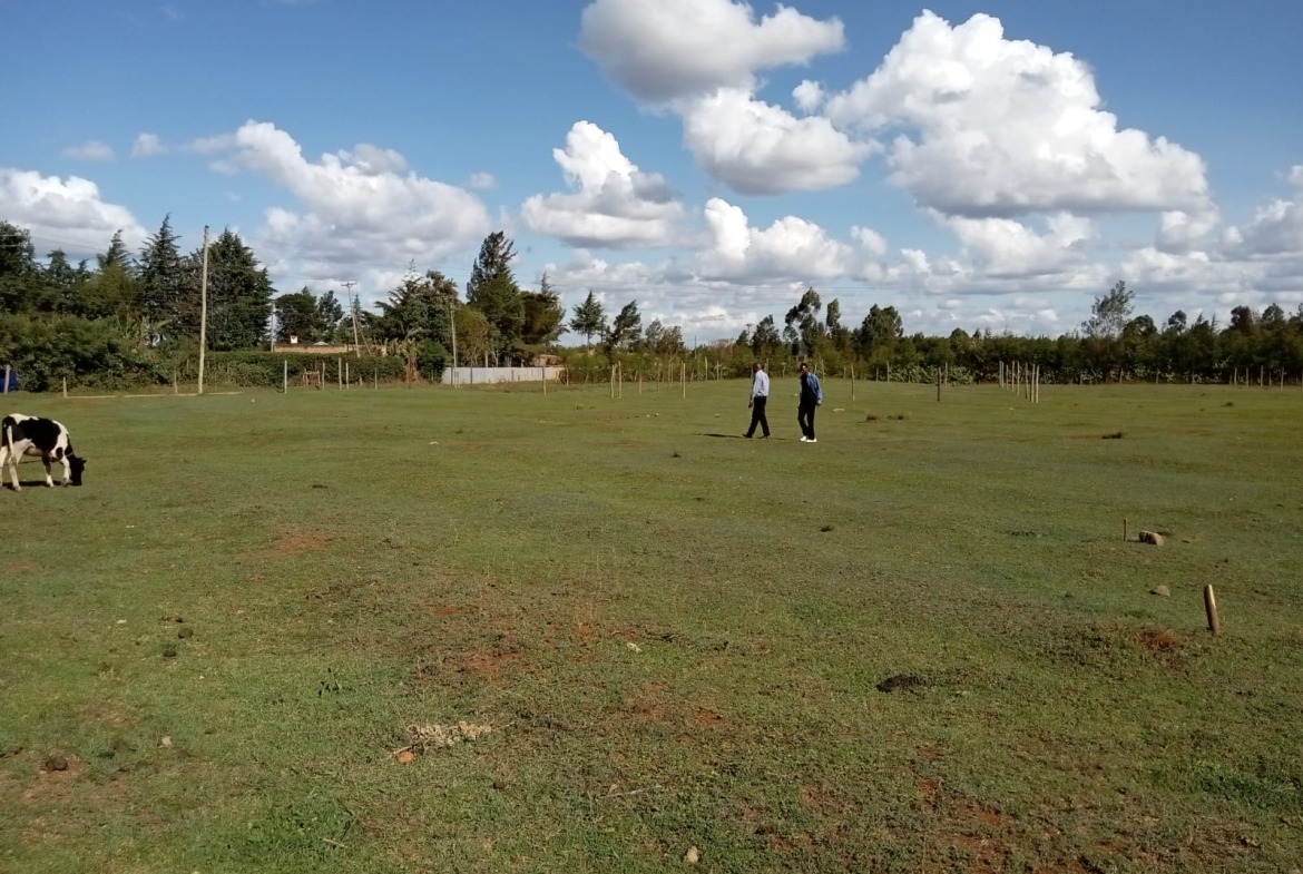 Prime Land/Plot For Sale In Eldoret Royalton