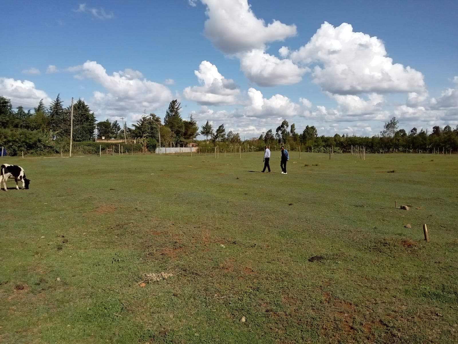 Prime Land/Plot For Sale In Eldoret Royalton