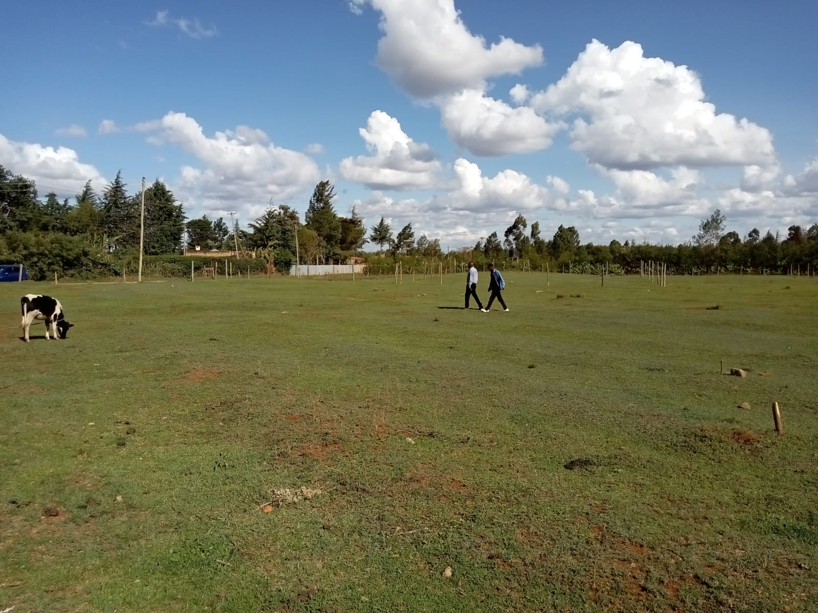 Prime Land/Plot For Sale In Eldoret Royalton