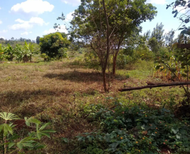 land for sale in muranga