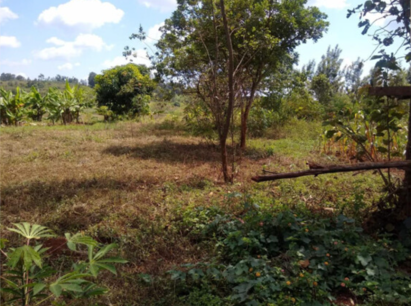 land for sale in muranga; aluers, Appraisers, Assessors, Realtors, Valuators, Properties, For sale, Valuers in Nakuru, Property valuers in Nakuru, Land valuers in Nakuru , Kenya Valuers, Appraisal, Realtors, Naivasha valuers, Land-Property valuers in Eldoret, Mombasa Valuers, Thika Valuers, Nakuru valuers, Kisumu valuers, Muranga valuers, Nyeri valuers, Meru valuers, Nanyuki valuers, Westlands valuers, Kiambu valuers, Thika valuers, Machakos valuers, Kitengela valuers, Kajiado valuers, Naivasha valuers, Kenya valuers, Westlands appraisers, Appraisers in Nairobi Kenya, Home appraisal in Nairobi, Realtors in Nairobi, Ruiru valuers, Karen valuers, Land assessors, evaluators nairobi, Valuators Nairobi Kenya, Property assessors Nairobi Kenya, Appraisers Nairobi Kenya, House assessment Nairobi Kenya, House evaluators Nairobi; Valuers Nairobi Kenya, Appraisers Nairobi Kenya, Assessors Nairobi Kenya, Property assessors Nairobi Kenya, Valuation Company in Nairobi Kenya, Valuation Companies in Nairobi Kenya, Property Valuation Company in Nairobi, Mombasa, Kisumu, Mombasa, Meru, Embu, Nyeri, Nanyuki Kenya, Meru Valuers, Embu Valuers, Nyeri Valuers, Kenya Valuation Companies