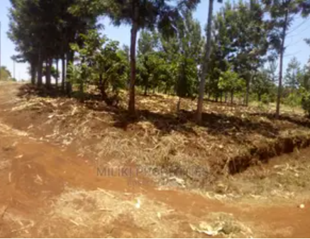 Land for sale in Kaharati Muranga