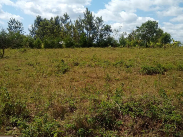 land for sale in muranga