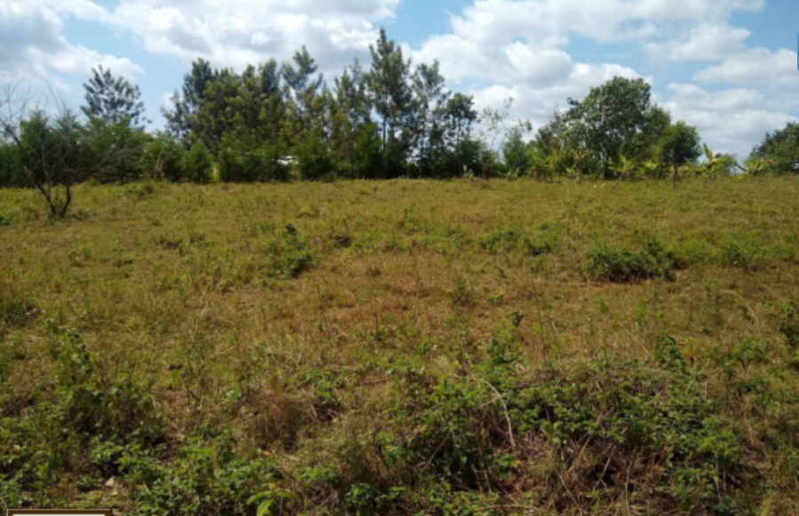 land for sale in muranga; aluers, Appraisers, Assessors, Realtors, Valuators, Properties, For sale, Valuers in Nakuru, Property valuers in Nakuru, Land valuers in Nakuru , Kenya Valuers, Appraisal, Realtors, Naivasha valuers, Land-Property valuers in Eldoret, Mombasa Valuers, Thika Valuers, Nakuru valuers, Kisumu valuers, Muranga valuers, Nyeri valuers, Meru valuers, Nanyuki valuers, Westlands valuers, Kiambu valuers, Thika valuers, Machakos valuers, Kitengela valuers, Kajiado valuers, Naivasha valuers, Kenya valuers, Westlands appraisers, Appraisers in Nairobi Kenya, Home appraisal in Nairobi, Realtors in Nairobi, Ruiru valuers, Karen valuers, Land assessors, evaluators nairobi, Valuators Nairobi Kenya, Property assessors Nairobi Kenya, Appraisers Nairobi Kenya, House assessment Nairobi Kenya, House evaluators Nairobi; Valuers Nairobi Kenya, Appraisers Nairobi Kenya, Assessors Nairobi Kenya, Property assessors Nairobi Kenya, Valuation Company in Nairobi Kenya, Valuation Companies in Nairobi Kenya, Property Valuation Company in Nairobi, Mombasa, Kisumu, Mombasa, Meru, Embu, Nyeri, Nanyuki Kenya, Meru Valuers, Embu Valuers, Nyeri Valuers, Kenya Valuation Companies