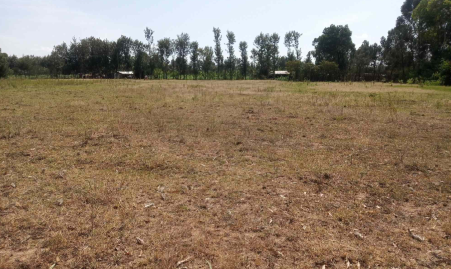 Land for sale in Nanyuki; valuers, Appraisers, Assessors, Realtors, Valuators, Properties, For sale, Valuers in Nakuru, Property valuers in Nakuru, Land valuers in Nakuru , Kenya Valuers, Appraisal, Realtors, Naivasha valuers, Land-Property valuers in Eldoret, Mombasa Valuers, Thika Valuers, Nakuru valuers, Kisumu valuers, Muranga valuers, Nyeri valuers, Meru valuers, Nanyuki valuers, Westlands valuers, Kiambu valuers, Thika valuers, Machakos valuers, Kitengela valuers, Kajiado valuers, Naivasha valuers, Kenya valuers, Westlands appraisers, Appraisers in Nairobi Kenya, Home appraisal in Nairobi, Realtors in Nairobi, Ruiru valuers, Karen valuers, Land assessors, evaluators nairobi, Valuators Nairobi Kenya, Property assessors Nairobi Kenya, Appraisers Nairobi Kenya, House assessment Nairobi Kenya, House evaluators Nairobi; Valuers Nairobi Kenya, Appraisers Nairobi Kenya, Assessors Nairobi Kenya, Property assessors Nairobi Kenya, Valuation Company in Nairobi Kenya, Valuation Companies in Nairobi Kenya, Property Valuation Company in Nairobi, Mombasa, Kisumu, Mombasa, Meru, Embu, Nyeri, Nanyuki Kenya, Meru Valuers, Embu Valuers, Nyeri Valuers, Kenya Valuation Companies, best valuation company in Kenya