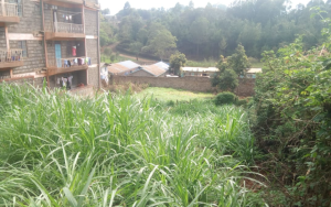 Plot for sale in Embu Town in Embu; aluers, Appraisers, Assessors, Realtors, Valuators, Properties, For sale, Valuers in Nakuru, Property valuers in Nakuru, Land valuers in Nakuru , Kenya Valuers, Appraisal, Realtors, Naivasha valuers, Land-Property valuers in Eldoret, Mombasa Valuers, Thika Valuers, Nakuru valuers, Kisumu valuers, Muranga valuers, Nyeri valuers, Meru valuers, Nanyuki valuers, Westlands valuers, Kiambu valuers, Thika valuers, Machakos valuers, Kitengela valuers, Kajiado valuers, Naivasha valuers, Kenya valuers, Westlands appraisers, Appraisers in Nairobi Kenya, Home appraisal in Nairobi, Realtors in Nairobi, Ruiru valuers, Karen valuers, Land assessors, evaluators nairobi, Valuators Nairobi Kenya, Property assessors Nairobi Kenya, Appraisers Nairobi Kenya, House assessment Nairobi Kenya, House evaluators Nairobi; Valuers Nairobi Kenya, Appraisers Nairobi Kenya, Assessors Nairobi Kenya, Property assessors Nairobi Kenya, Valuation Company in Nairobi Kenya, Valuation Companies in Nairobi Kenya, Property Valuation Company in Nairobi, Mombasa, Kisumu, Mombasa, Meru, Embu, Nyeri, Nanyuki Kenya, Meru Valuers, Embu Valuers, Nyeri Valuers, Kenya Valuation Companies