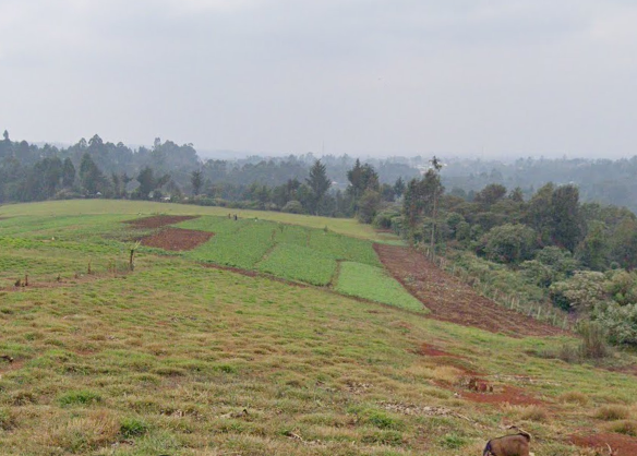 Land for Sale in RedHill, Limuru Kiambu County