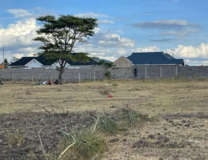 50 by 100 Land/Plot for sale in Witeithie, Juja Kiambu County| Kiambu properties for sale, juja properties for sale, Witeithie properties for sale