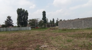 50 by 100 Land/Plot for sale in Witeithie, Juja Kiambu County| Kiambu properties for sale, juja properties for sale, Witeithie properties for sale