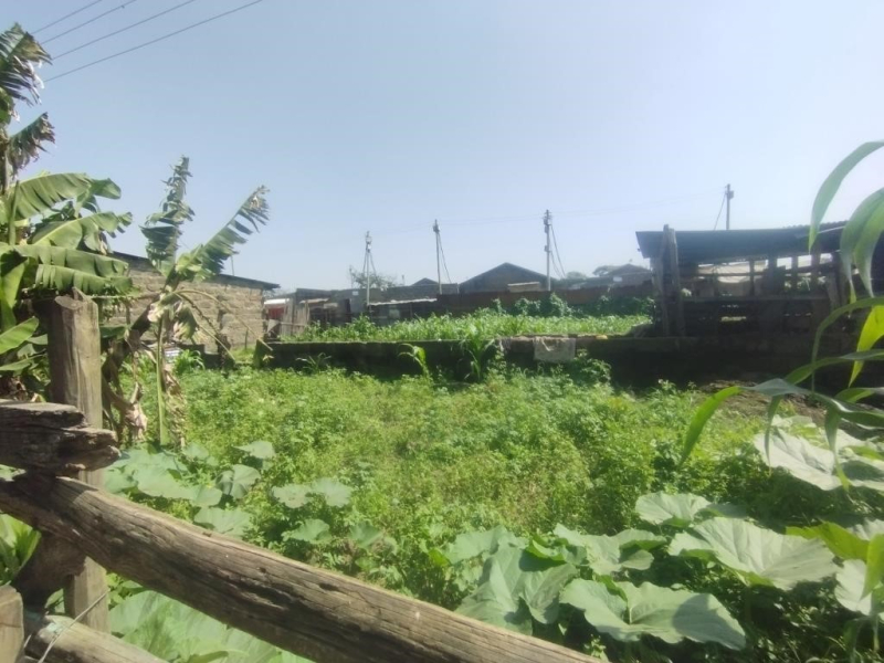 valuers in thika