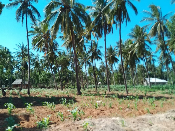 Beach property land for sale in Mida Creek Uyombo Watamu in Kilifi County