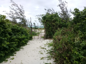 Prime beach plots for sale in Watamu