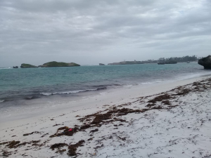 Prime beach plots for sale in Watamu