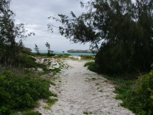 Prime beach plots for sale in Watamu