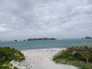 Prime beach plots for sale in Watamu