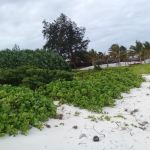 Prime beach plots for sale in Watamu