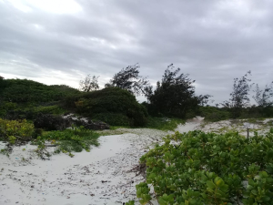 Prime beach plots for sale in Watamu