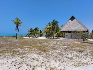 Prime 10-Acre Beachfront Plot for Sale in Watamu – Jacaranda Beach