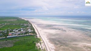 Prime 10-Acre Beachfront Plot for Sale in Watamu – Jacaranda Beach