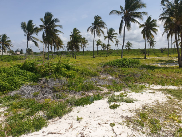 Beachfront Land for Sale in Malindi - Mayungu Beach, Kilifi County