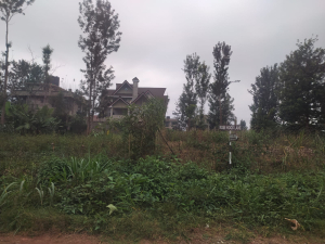 Prime Residential Land/Plots for Sale in Croton Ridge, Kenyatta Road, Juja