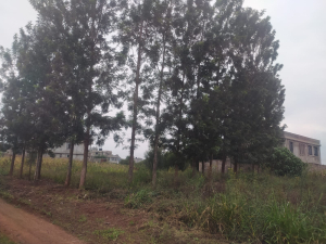 Land/Plots for Sale in Croton Ridge - (Mutundu Estate) Kenyatta Road Juja