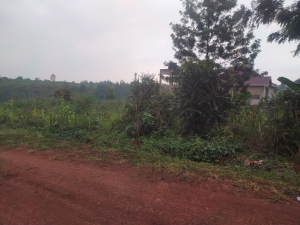 Prime Residential Land/Plots for Sale in Croton Ridge, Kenyatta Road, Juja