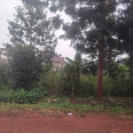 Land/Plots for Sale in Croton Ridge - (Mutundu Estate) Kenyatta Road Juja