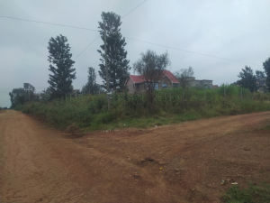 Very Prime Residential Land/Plots for Sale in Croton Ridge, Kenyatta Road, Juja