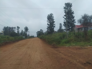 Very Prime Residential Land/Plots for Sale in Croton Ridge, Kenyatta Road, Juja