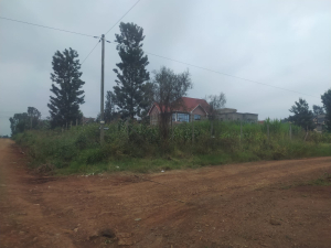 Very Prime Residential Land/Plots for Sale in Croton Ridge, Kenyatta Road, Juja