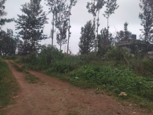Prime Residential Land/Plots for Sale in Croton Ridge, Kenyatta Road, Juja