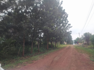 Prime Residential Land/Plots for Sale in Croton Ridge, Kenyatta Road, Juja