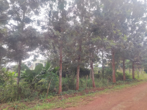 Prime Residential Land/Plots for Sale in Croton Ridge, Kenyatta Road, Juja