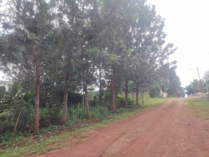 Prime Residential Land/Plots for Sale in Croton Ridge, Kenyatta Road, Juja