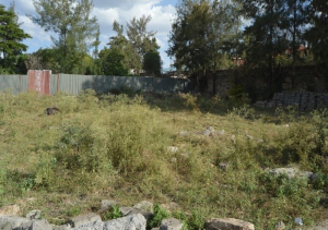 1/4 Acre plot/land for sale in Utawala Nairobi