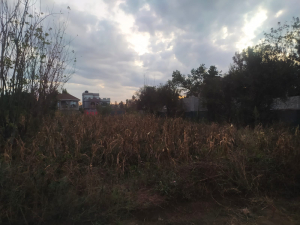 Very Prime Residential Land/Plots for Sale in Croton Ridge, Kenyatta Road, Juja