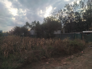 Very Prime Residential Land/Plots for Sale in Croton Ridge, Kenyatta Road, Juja