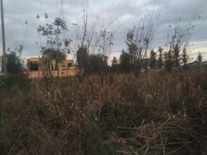 Very Prime Residential Land/Plots for Sale in Croton Ridge, Kenyatta Road, Juja