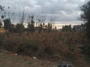 Very Prime Residential Land/Plots for Sale in Croton Ridge, Kenyatta Road, Juja